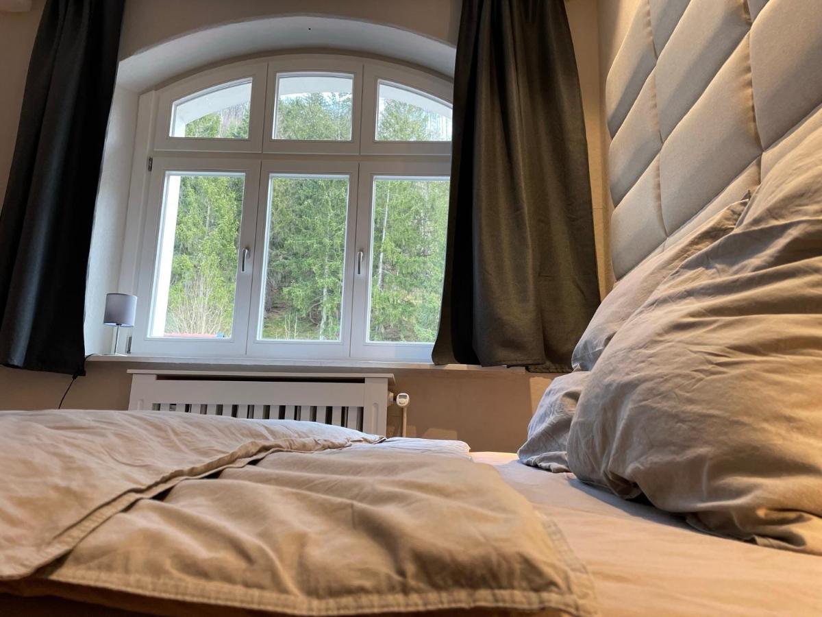 Bergrauschen - Waldloft - Preise Inklusive Waesche Lejlighed Goslar Eksteriør billede
