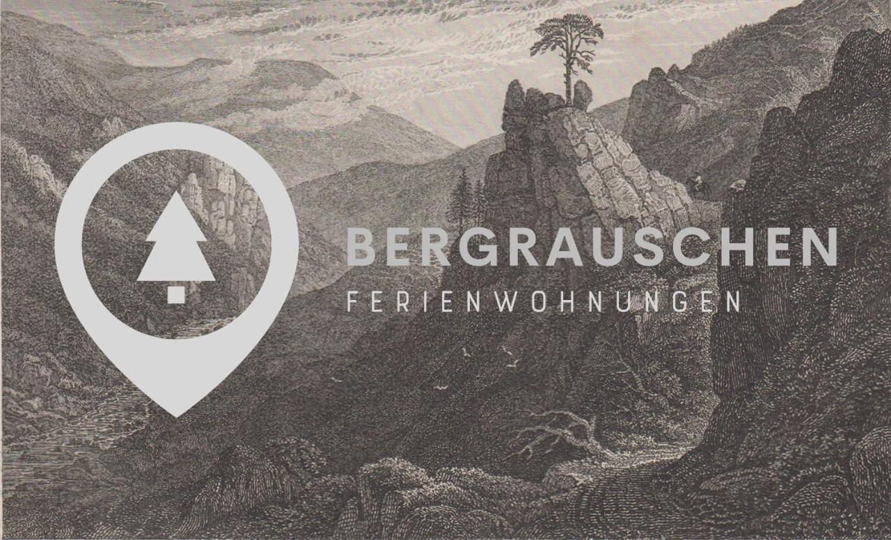 Bergrauschen - Waldloft - Preise Inklusive Waesche Lejlighed Goslar Eksteriør billede